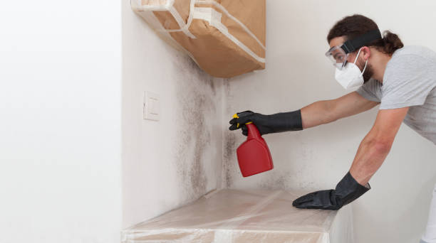 Professional Mold Remediation technician working in Sayville, NY